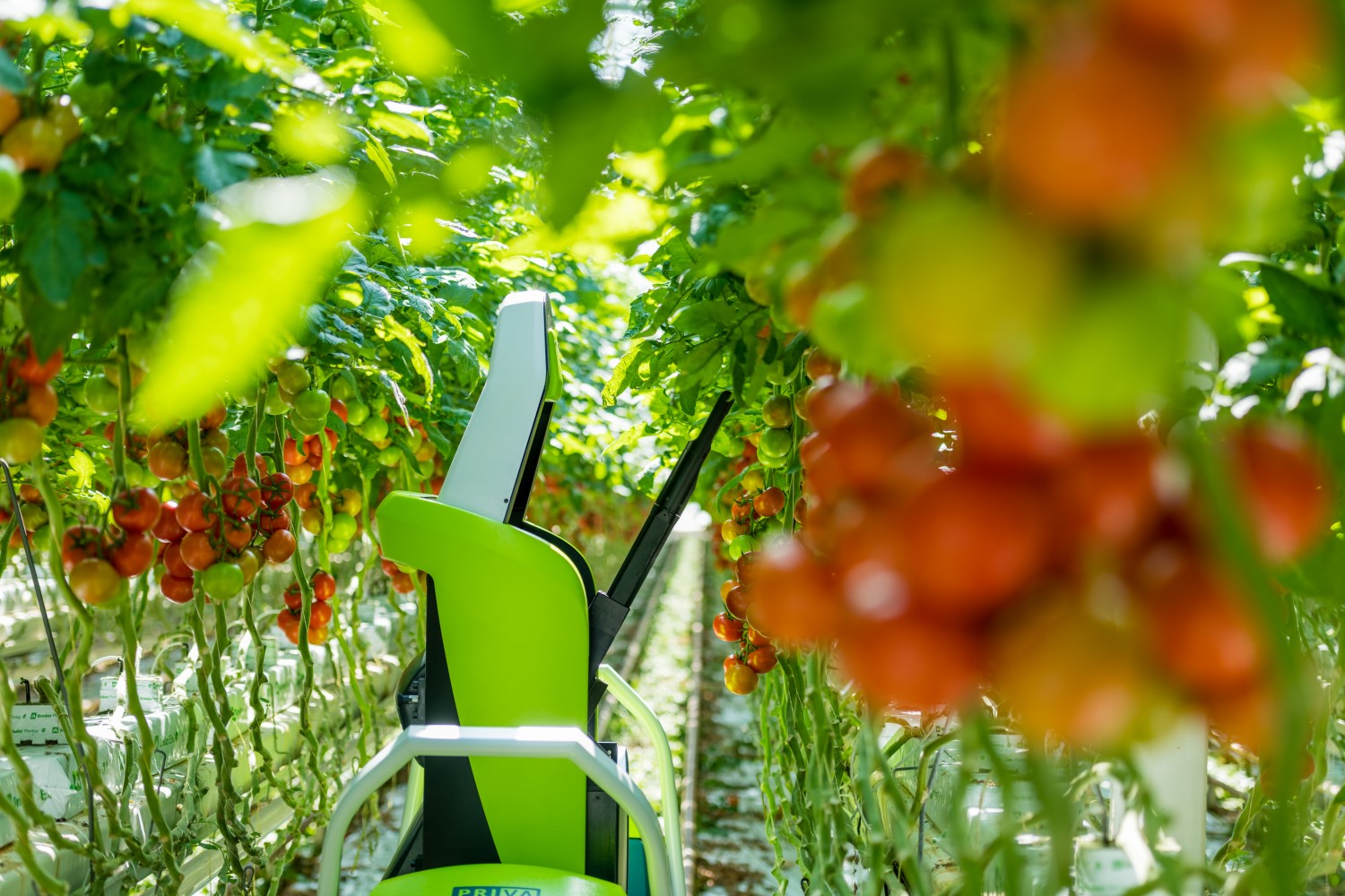 Miljoenen Voor Agro En Foodtechnologie WUR