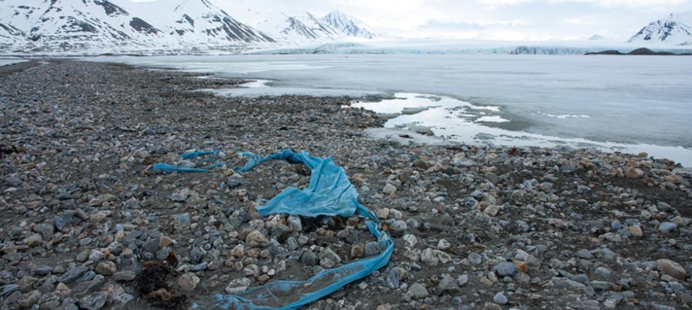 The Arctic Marine Litter Project: knowing the sources to work on solutions