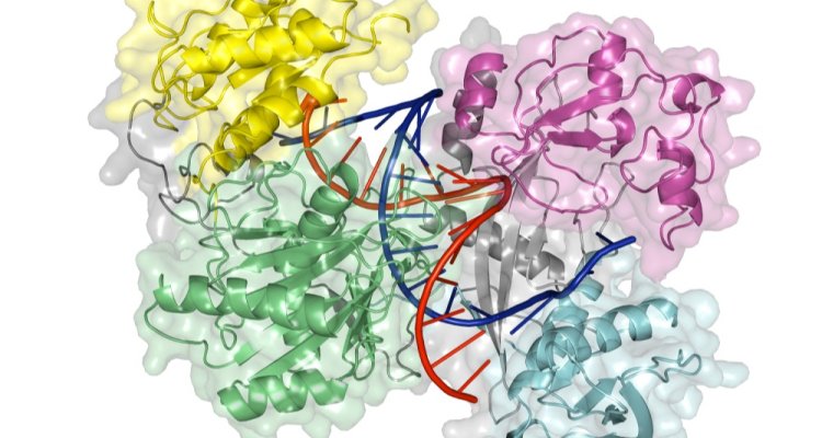 Protein structure and function at Biochemistry