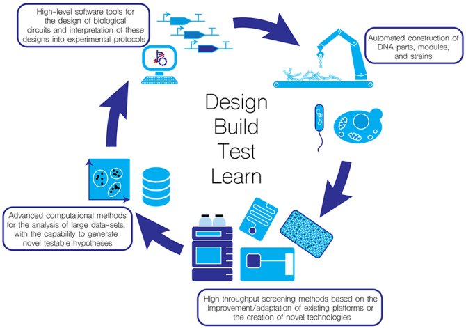 An illustration of the Design-build-test-learn cycle from Jessop-Fabre & Sonnenschein (2019, doi: 10.3389/fbioe.2019.00018)