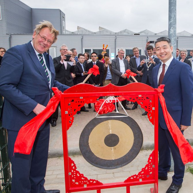 Chinese ‘Solar Greenhouse’kas in Bleiswijk geopend WUR