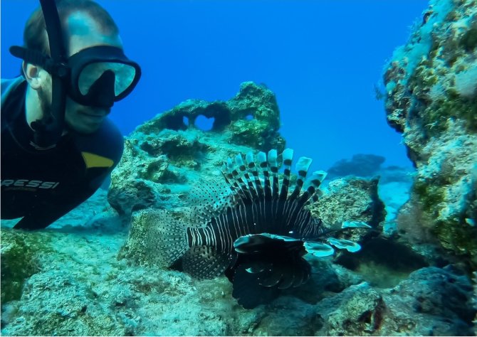 Davide Bottacini observeert koraalduivels en visdiversiteit rondom Cyprus 