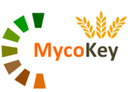 MycoKey