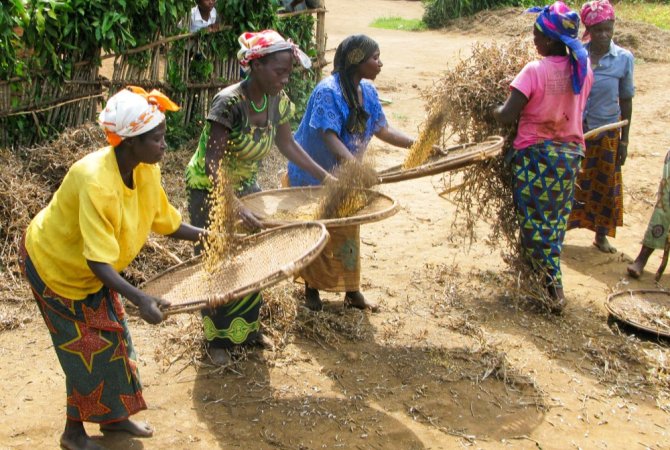 Winnowing soyabean Bukavu DRC -KEN