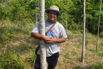 There are also reforestation projects in the region. Here a proud landowner shows one of the growing young trees of the reforestation area he has on his plot
