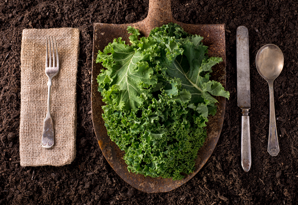 Make all soils healthy again
