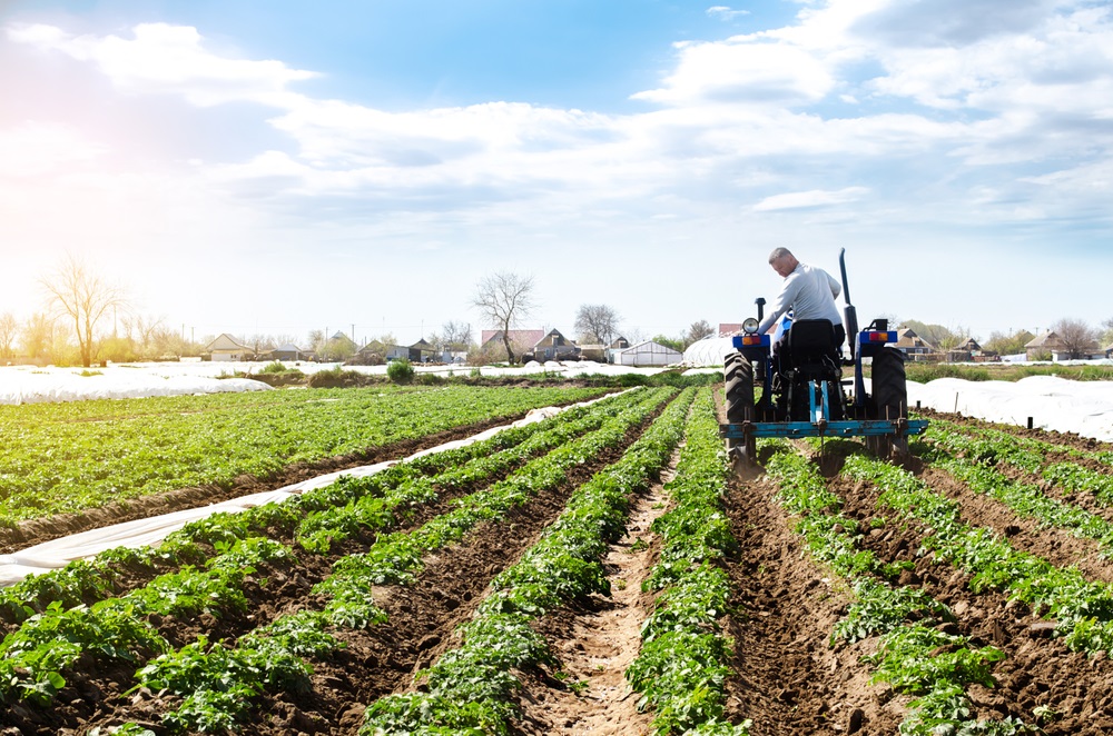 Om de klimaat-, milieu- en biodiversiteitsdoelen voor 2030 te halen in het kader van co-cultivatie is een regiospecifieke aanpak nodig