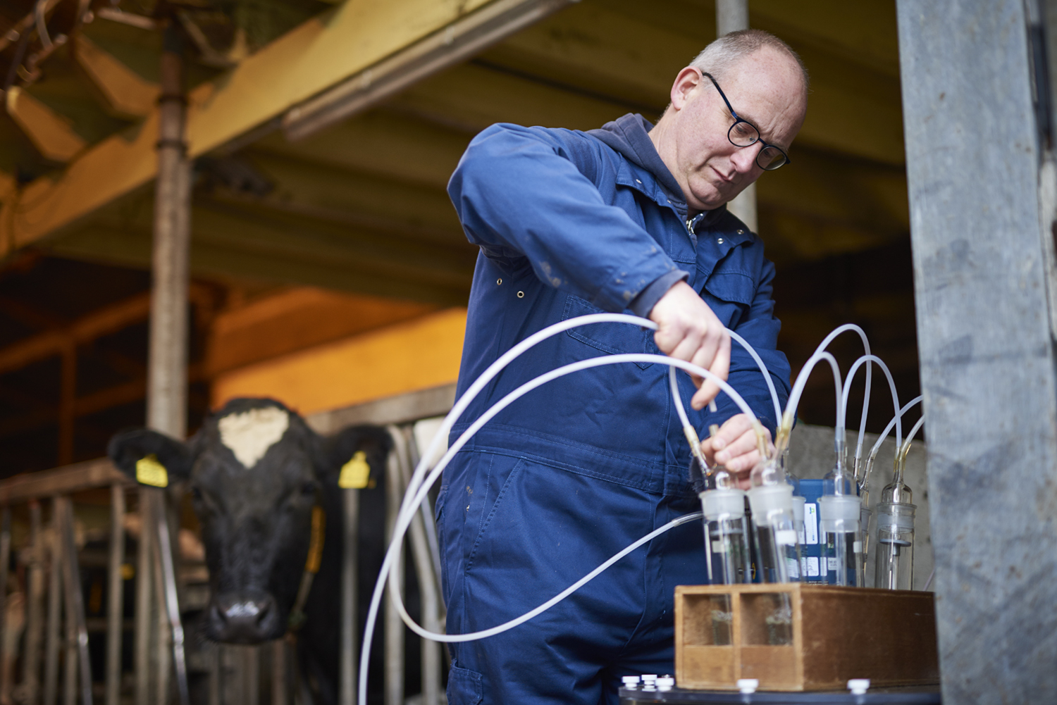 Hoe Meet Je De Emissies Uit Een Open Stal? - WUR