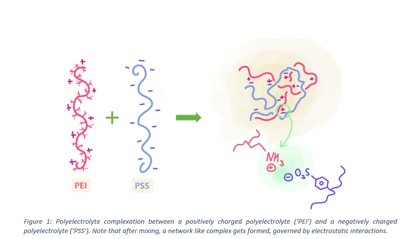 Polyelectrolyte complexes as sustainable, functional coatings - WUR