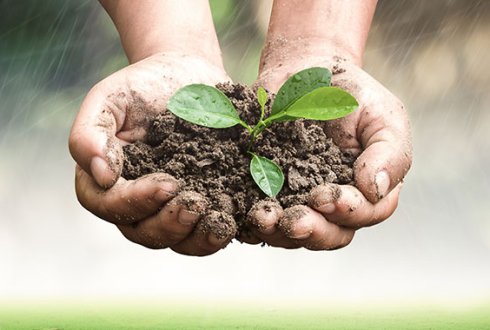 MOOC Soil4Life: Sustainable Soil Management - WUR