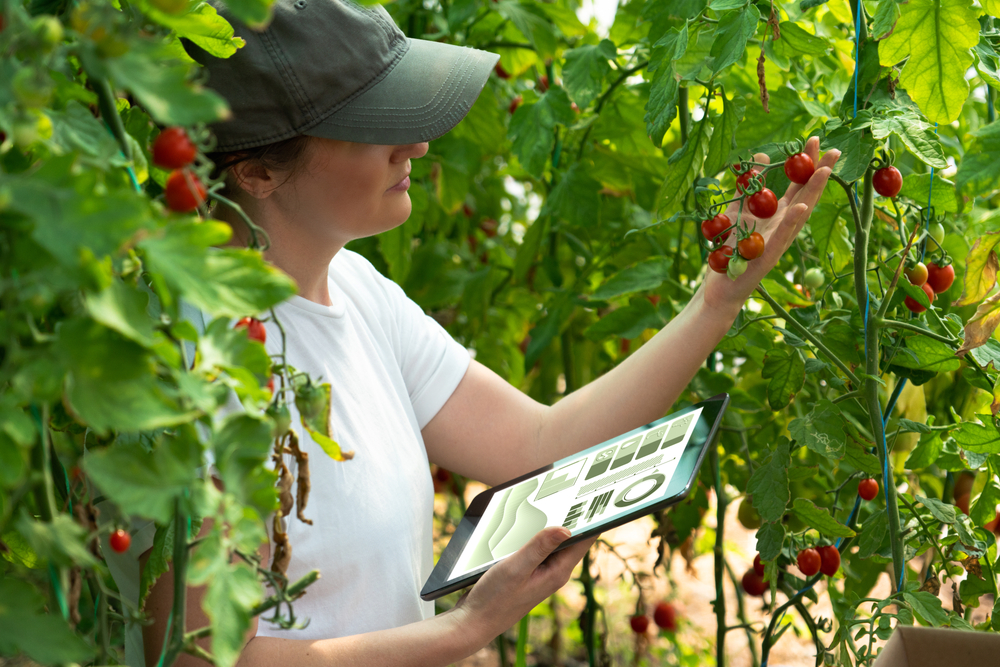 Digital innovation in Agri & Food - WUR