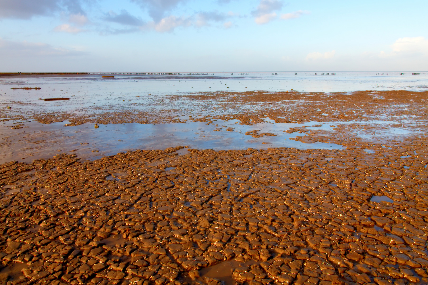 Marine sediment - WUR