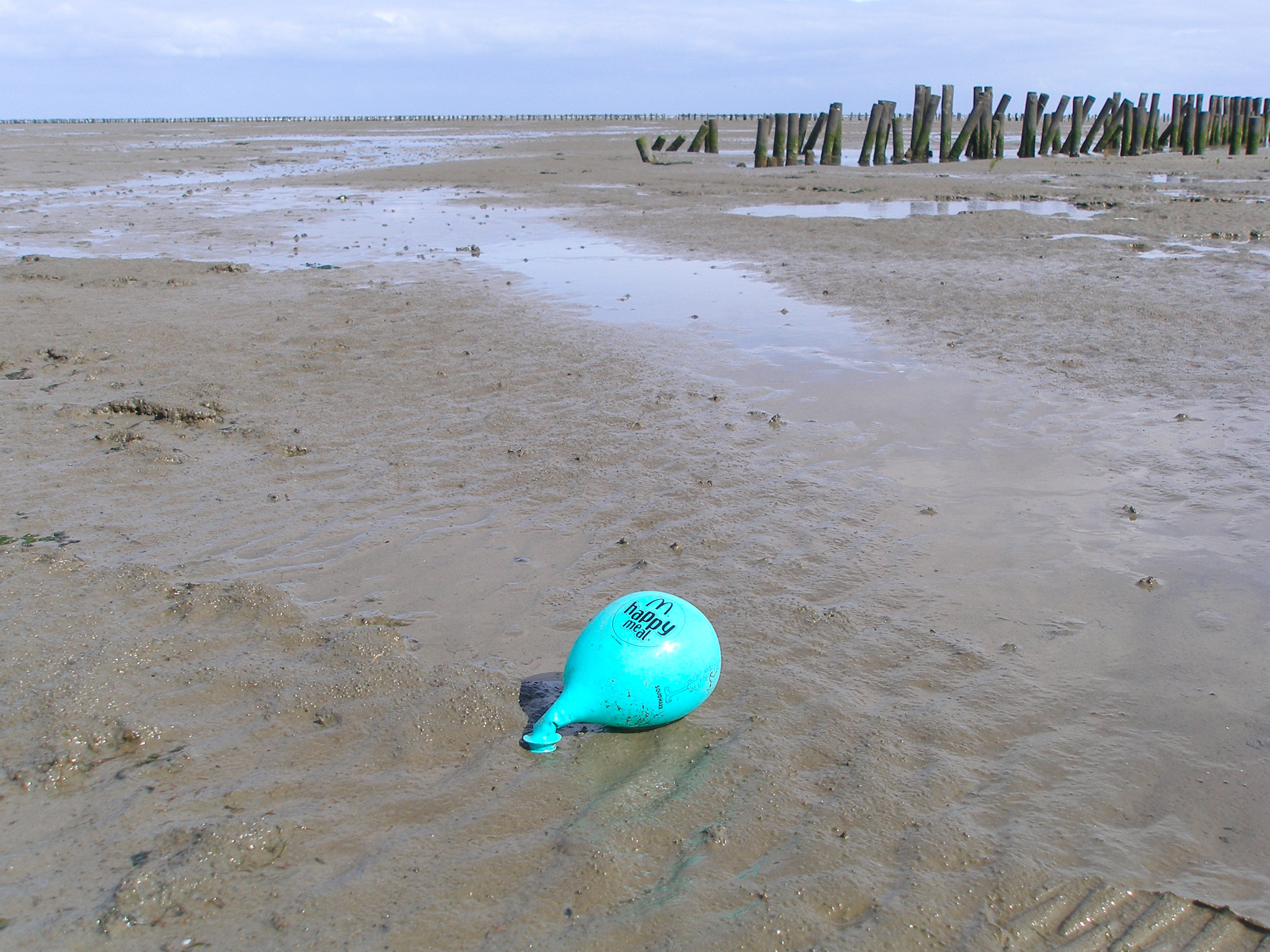 Trends in balloon litter on beaches in the Netherlands - WUR