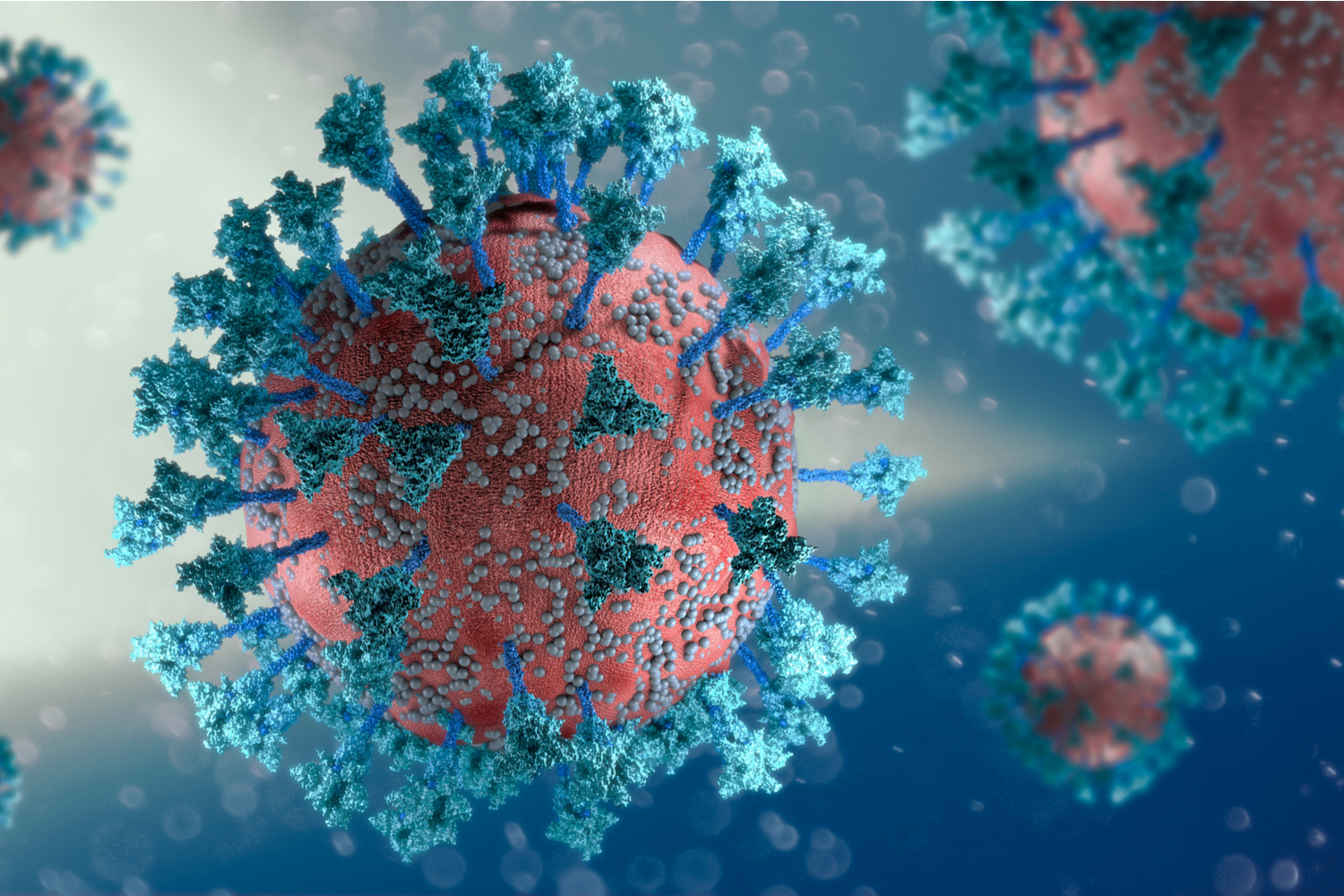 Development of a novel Virus Like Particle (VLP) vaccine - WUR