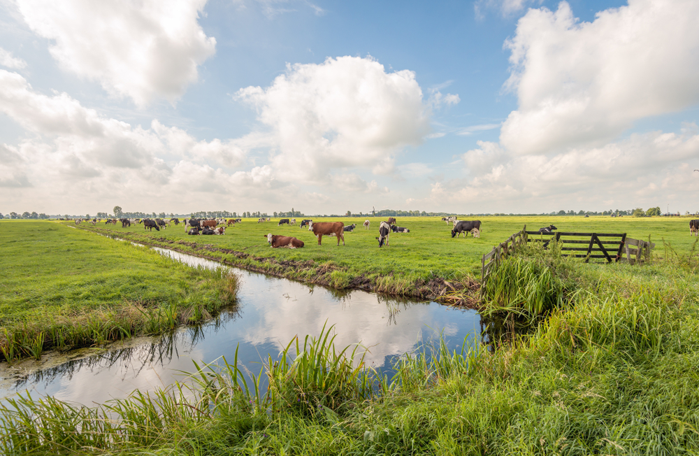 Graslandmanagement Als Maatregel Voor Reductie Methaan ...