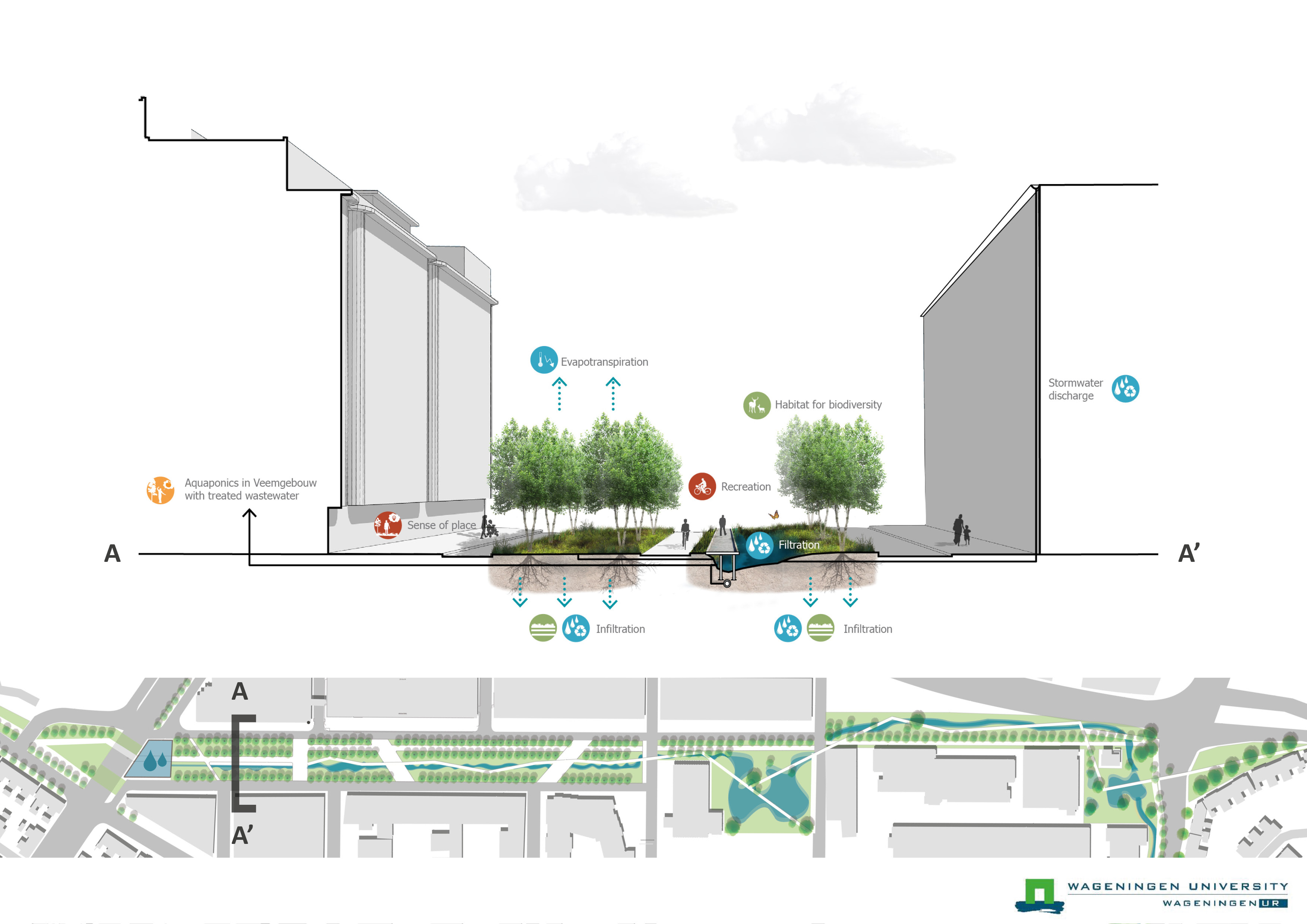 Designing a waste water treatment installations as an urban park on ...