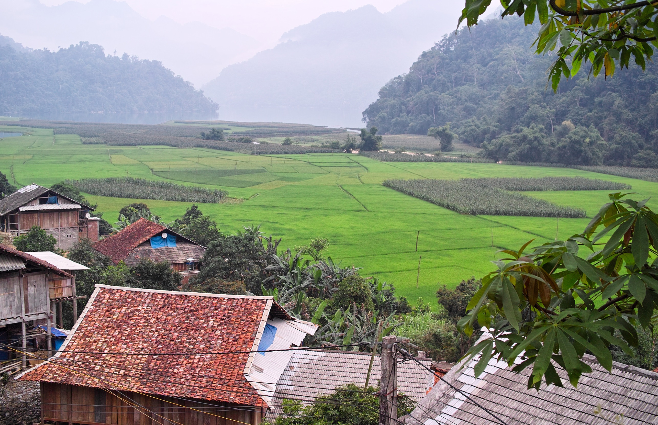 Governing multifunctional forest landscapes in Vietnam - WUR