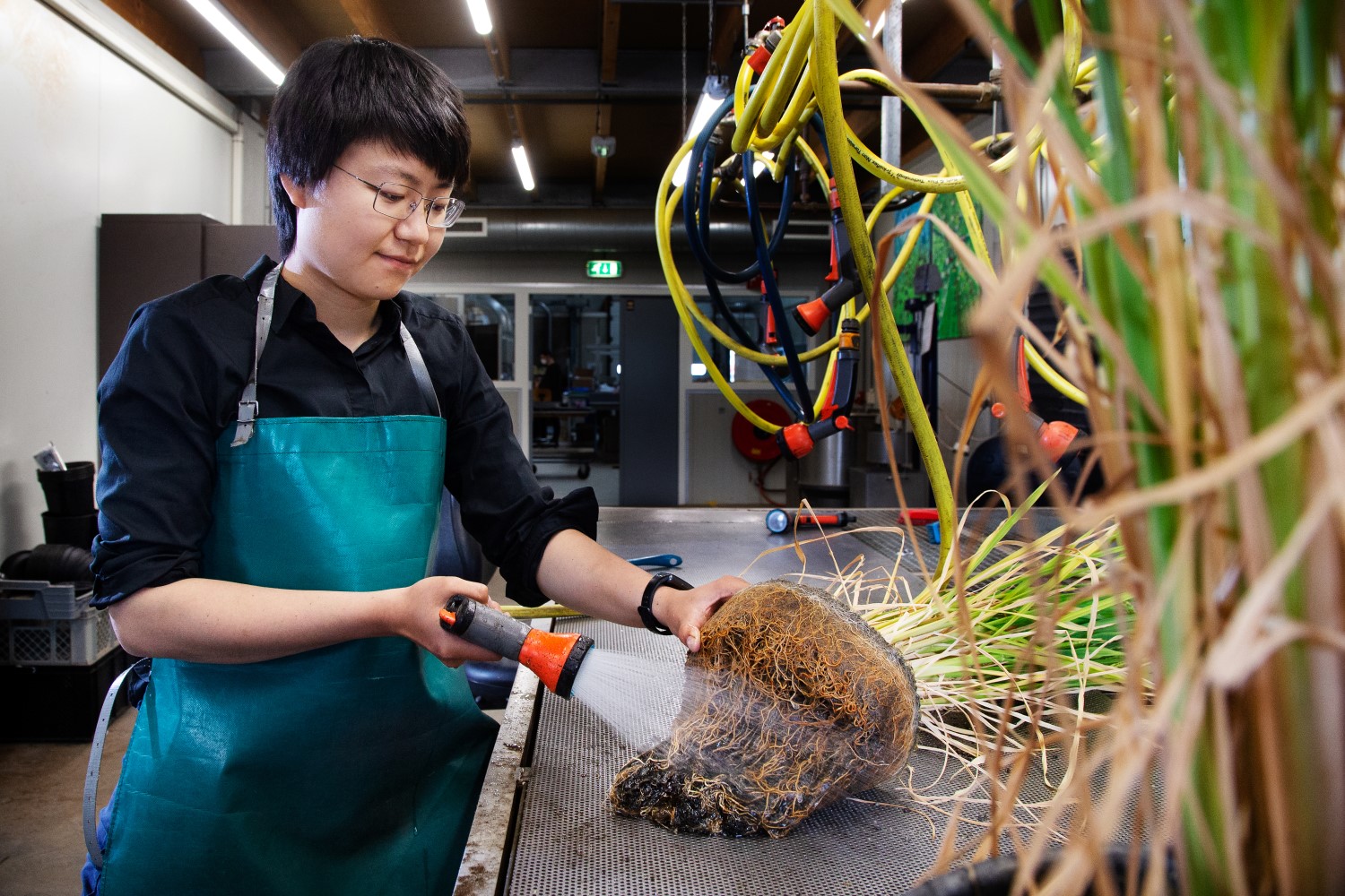 thesis-projects-root-biology-wur