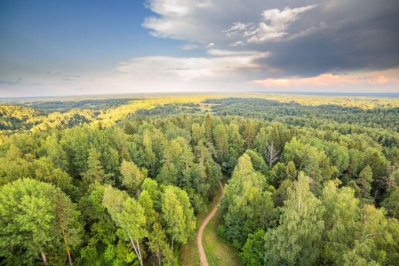 Monitoring European forest and artic tundra dynamics usingsatellite ...