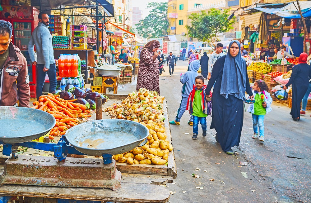 Feeding the Cities