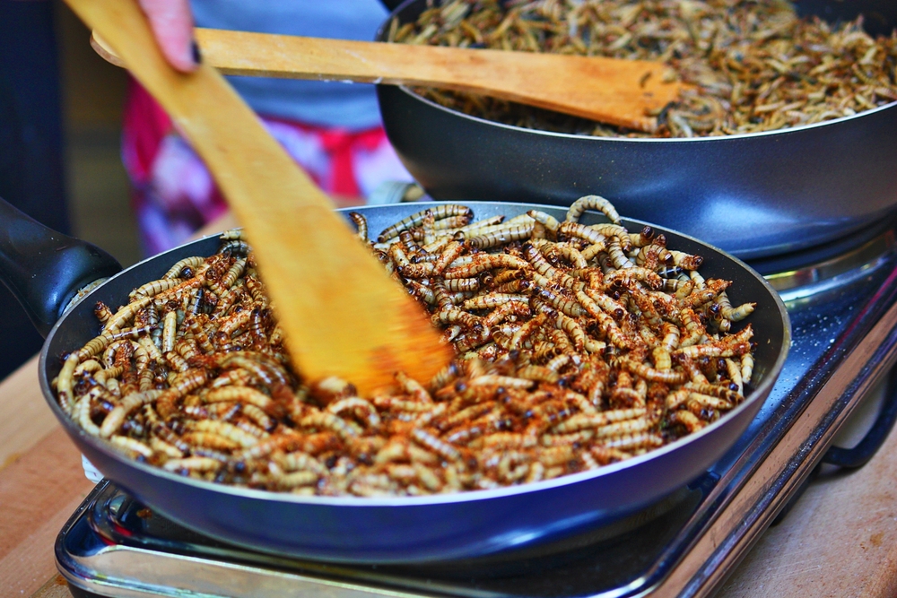 Insects as food and feed - WUR