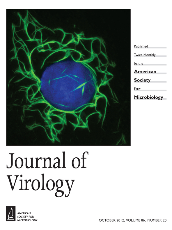 Filamentous form of chikungunya virus nonstructural protein 3