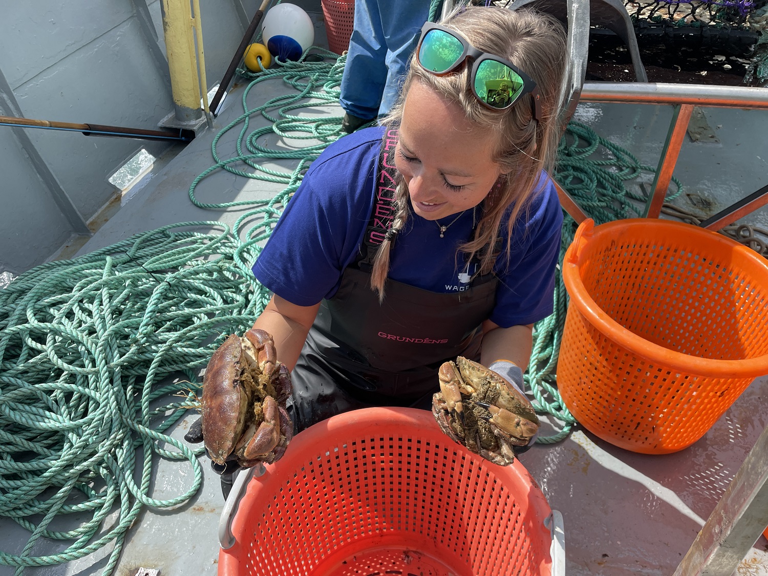 About Wageningen Marine Research - WUR