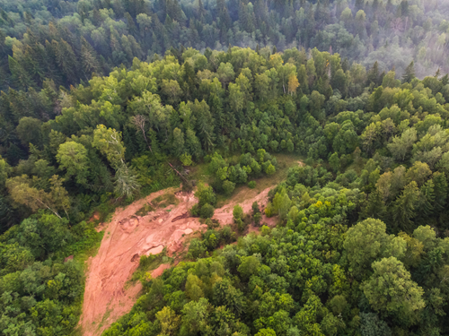 Analyzing Forest Disturbance/recovery Cycles In Peruvian Forest ...