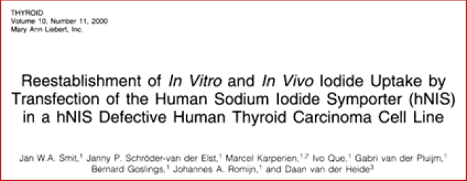 Thyroid - Reestablishment of in vitro and in vivo.png