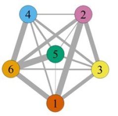 Figure 2: Example of a proximity network based on the tracking algorithm 