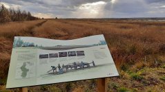 Bij de veenwinning in het Aschener Moor (Duitsland) zijn diverse prehistorische veenwegen gevonden. Foto: Roy van Beek