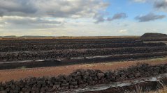 Aschener Moor (Duitsland). Foto: Roy van Beek