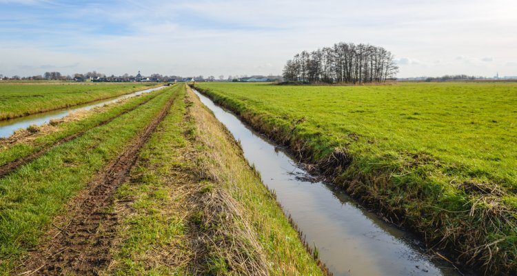 adjustable-drainage-can-retain-water-on-plots-wur