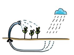 case study II_Rainwater harvesting for irrigation.jpg