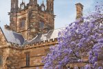 University of Sydney_3.jpg