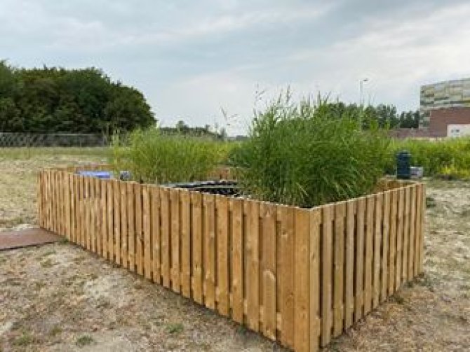 Figure 3. Constructed wetland pilot in Terneuzen, the Netherlands, effectively removing conditioning chemicals from cooling tower wastewater.   