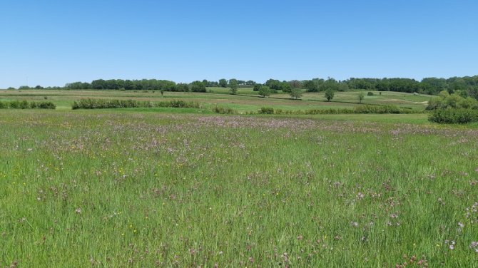 Het karakteristieke Zuid-Limburgse landschap met een hoge biodiversiteit