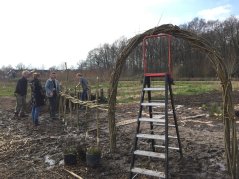 Willow workshop on The Field