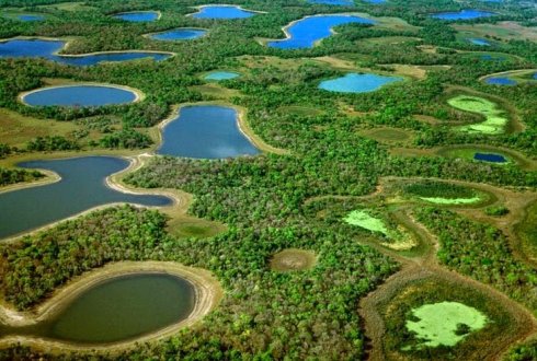 An expert system model for mapping tropical wetlands andpeatlands ...