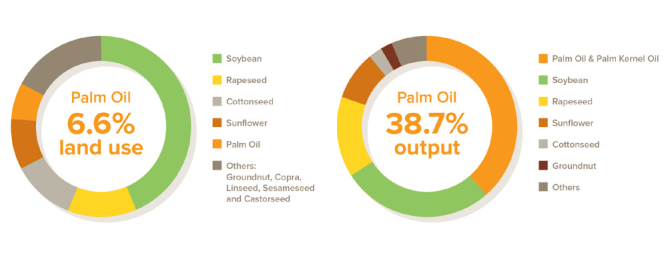 Ratio land-use to production per oil-producing crop.