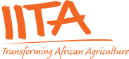 Logo - IITA.png