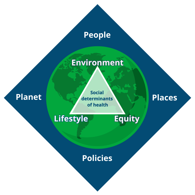 At the core of our research in people, places, policies, and the planet are the social determinants of health, with a focus on environment, lifestyle, and equity.