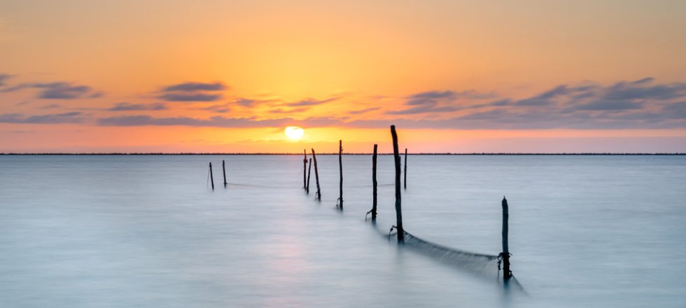 ijsselmeer_fuik_shutterstock_1716852211.jpg