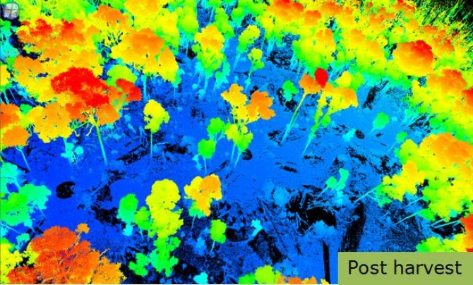 Rushworth pre- and post-harvest TLS scans