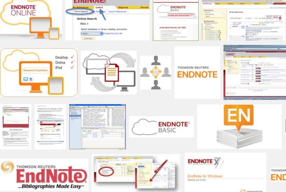 endnote web styles