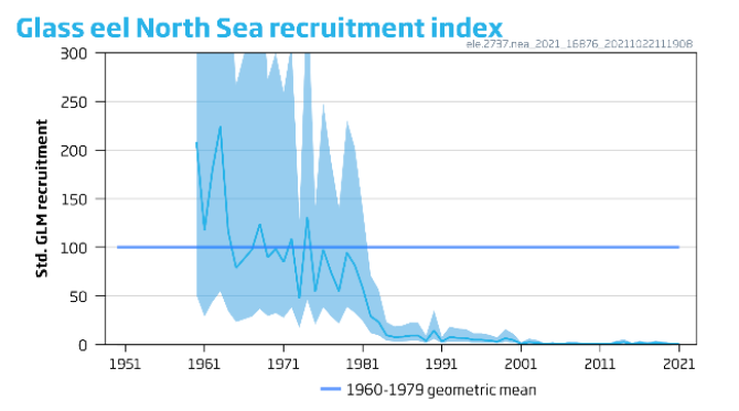 1. Glasaal die bij de Noordzee (‘North Sea’) aankomt. 