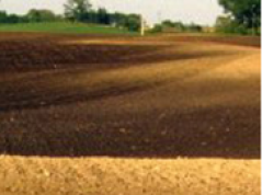 Tillage erosion: OM-rich topsoil is transported downslope.