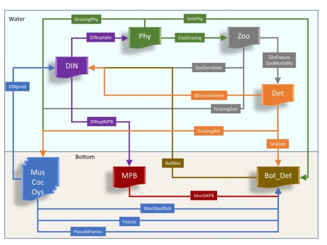 Schematische weergave van DEMO