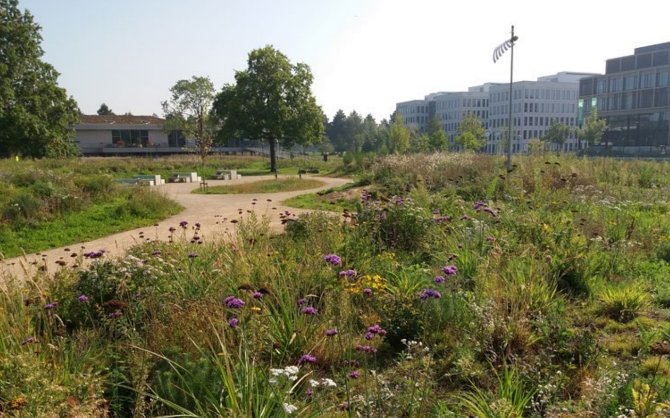 Wageningen Campus NL2120 tuin