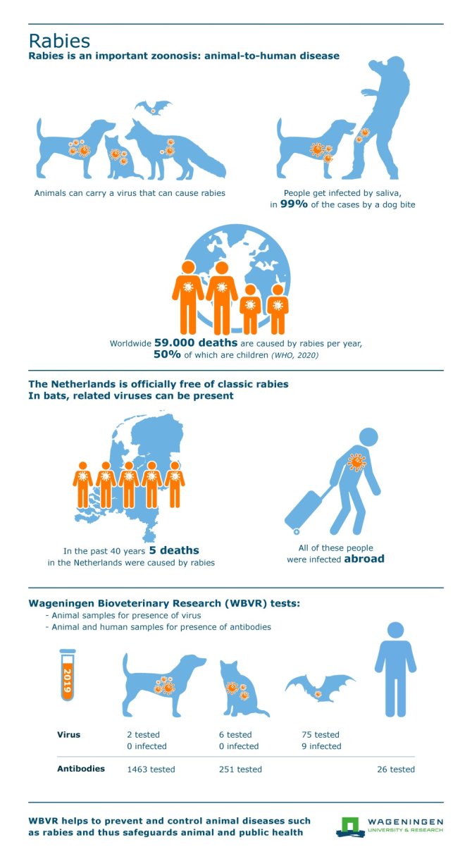 Infographic Rabies